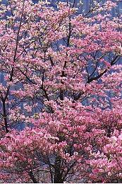 由字符画缔造的独特游戏《石头纪》7月27日正式发售